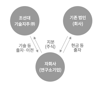 합작투자형 이미지